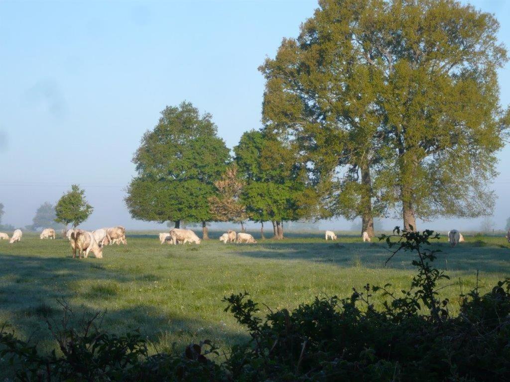 La Thibaude - Livry Bed & Breakfast Livry  Екстериор снимка